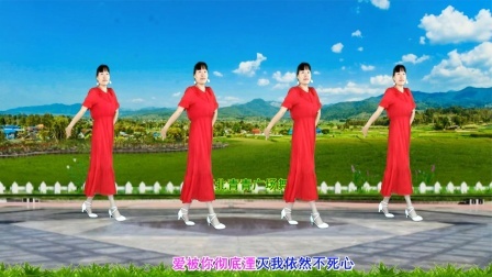 动感DJ广场舞《为何要伤我的心》心醉优美