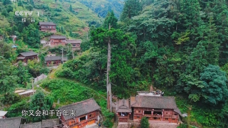 《中华民族》 20210616 遥远的地方 第一集 格头村