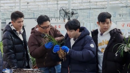 宝藏团探寻浙江最美乡村，尤长靖被花木价格吓到失去表情管理