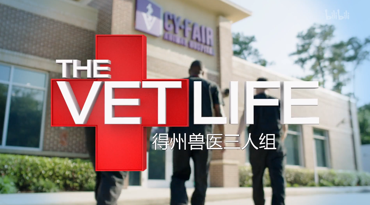 得州兽医三人组第二季