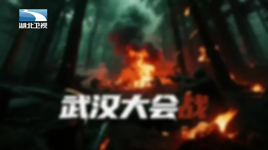 《武汉大会战》第2集