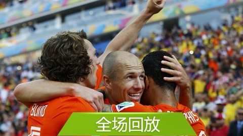 2014巴西世界杯比赛回放 全场回放：世界杯B组荷兰20智利