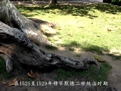 第二集 伊斯坦布尔(下) 托普卡普皇宫