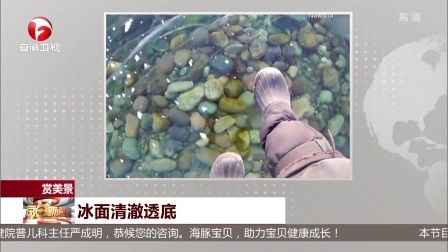 每日新闻报 90后春运新模式 空手而归邮寄回家