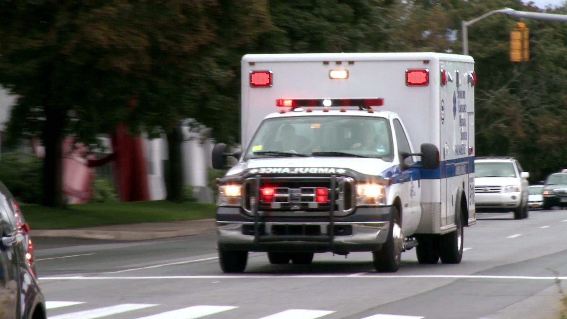 直击鲨鱼攻击第四季 第6集