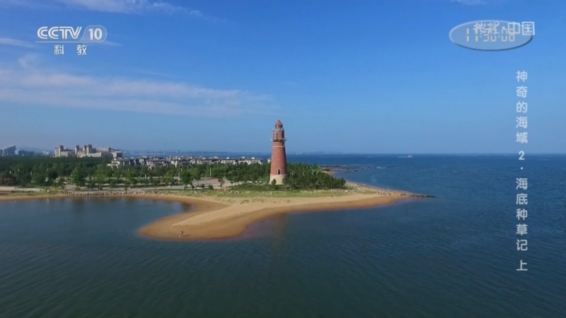 地理中国 《地理·中国》 20230717 神奇的海域2·海底种草记（上）