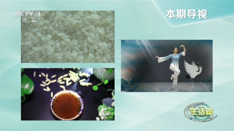生活圈 《生活圈》 20230511