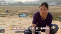 致富经 [致富经]挑剔媳妇养怪鹅 三招“借”来千万财 20180807
