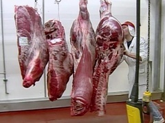 肉是造出来的！