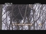 致富经 《致富经》 20150113 被一个老实人逼出来的财富