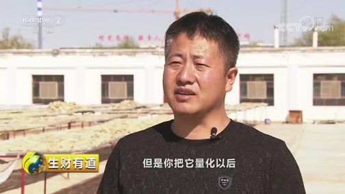 生财有道 《生财有道》 20181102 乡村振兴中国行——甘肃金塔：秋染大漠 礼赞胡杨