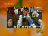 新闻袋袋裤 新闻袋袋裤 2010年 第67期