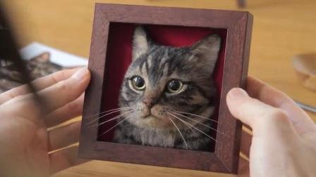 妹子做的猫猫肖像 逼真程度直逼标本