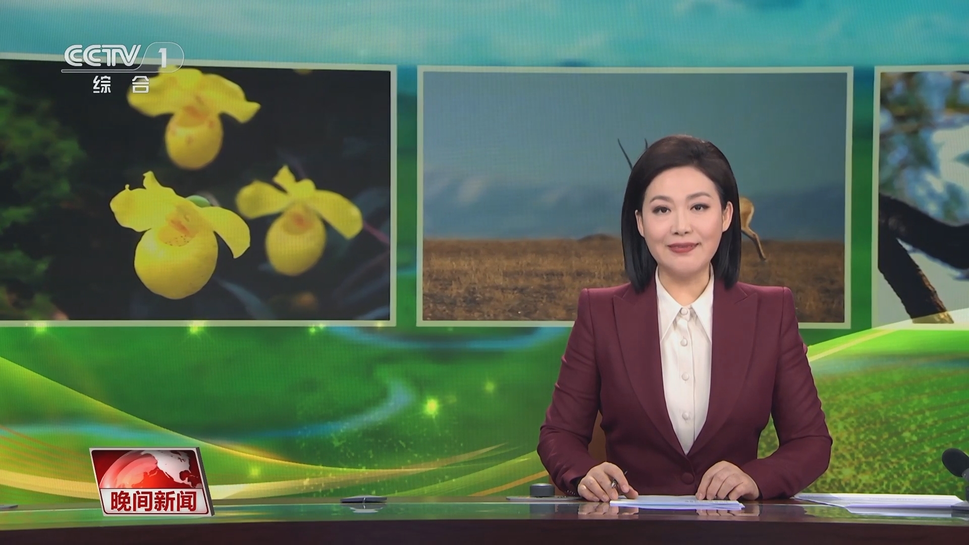 晚间新闻 《晚间新闻》 20240303