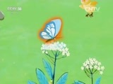 小小智慧树 《小小智慧树》 20160317