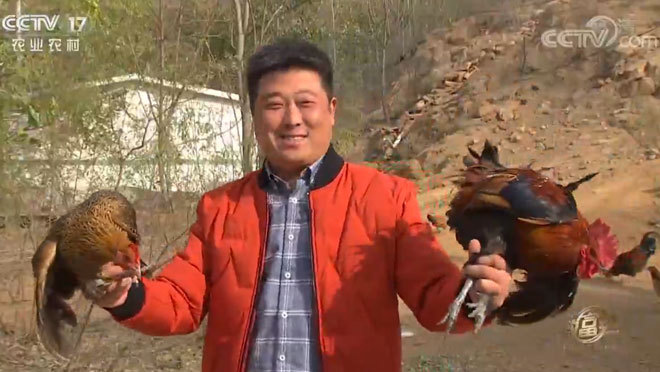致富经 《致富经》 20200218 走进太行山 抓住会飞的财富