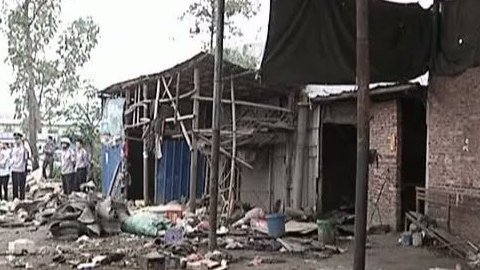 小强热线 小强热线20140410