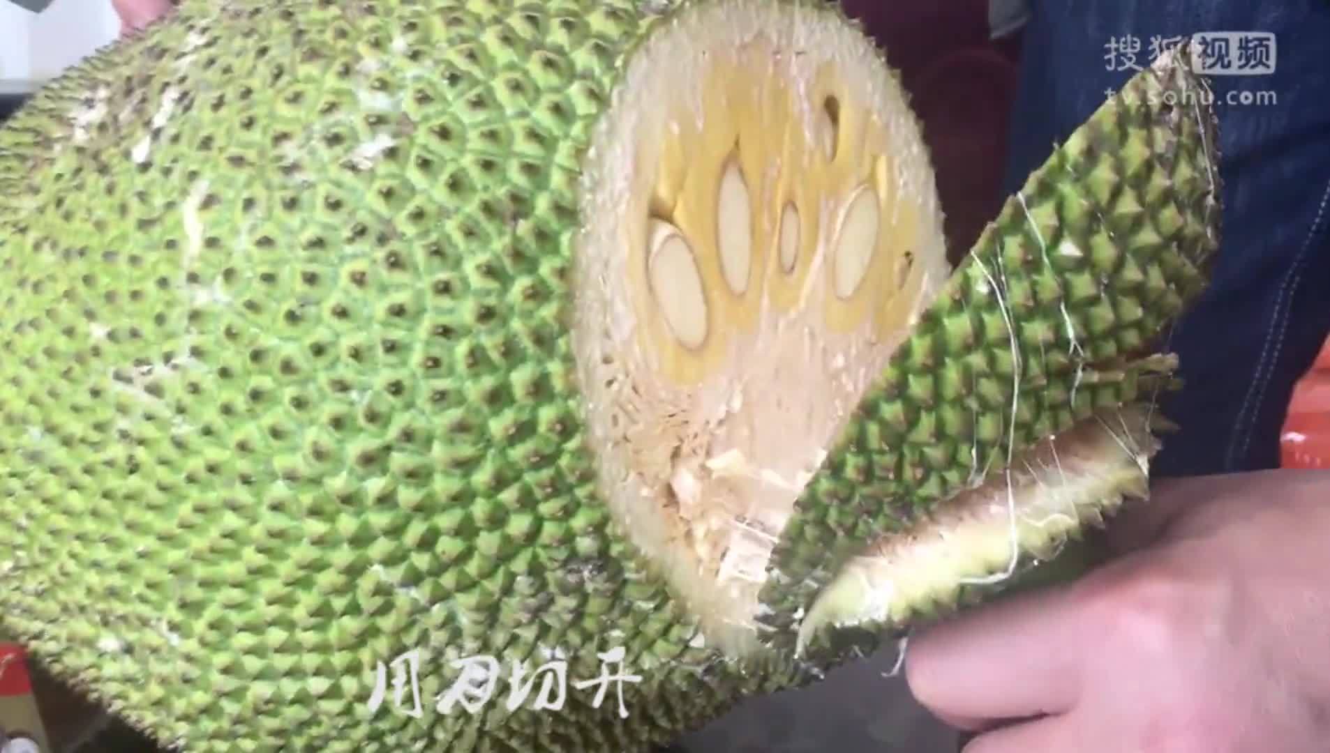 美&middot;食 戴上它三步就能剥出整颗菠萝蜜果肉，快速还不黏手，这样吃最香甜