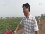 我爱发明 《我爱发明》 20160809 鱼腥草翻腾记
