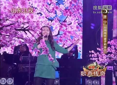 《歌声传奇》山东卫视 歌声传奇 20111216 唐宁《在那桃花盛开的地方》