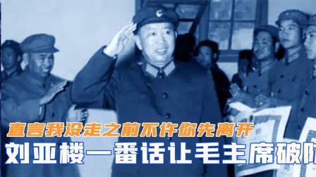 战史分析 刘亚楼一番话让毛主席破防，直言我没走之前，不许你先离开