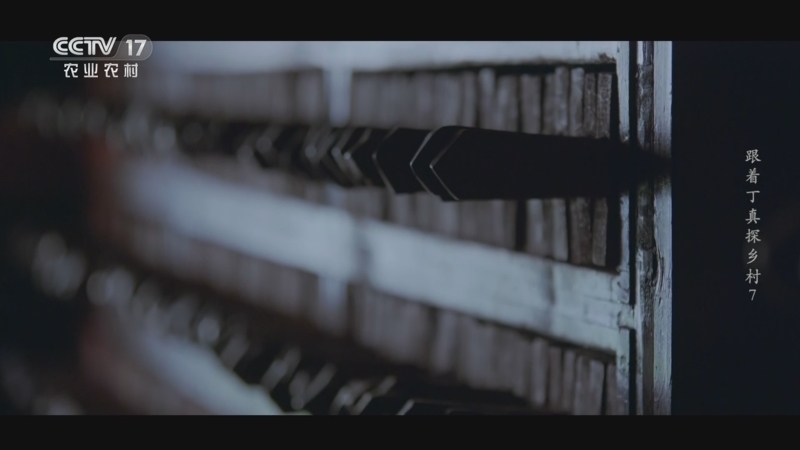 《跟着丁真探乡村—圣洁甘孜·“真”选好物》 20230219 第7集 一花一木一世界