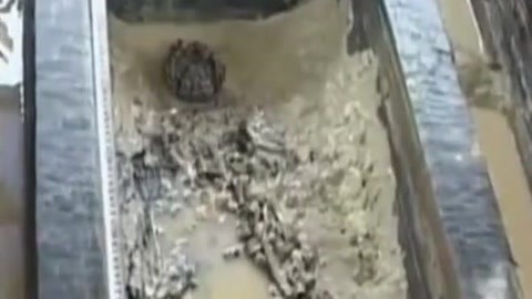 经典传奇 春秋大墓惊现42具女尸 妙龄织女为徐王陪葬