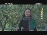 购时尚 《购时尚》 20141121 高妹正传