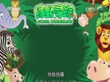 绿野寻踪 《绿野寻踪》 20170315