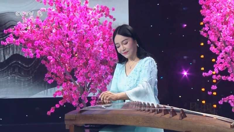 风华国乐 《风华国乐》 20250529