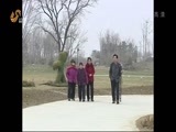 山东新闻联播 《山东新闻联播》 20151226