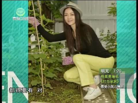 时尚家居 《时尚家居》 20130707 小院情怀