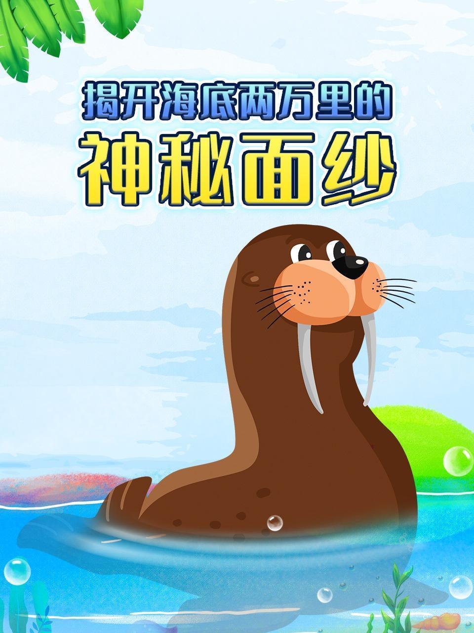 揭开海底两万里的神秘面纱
