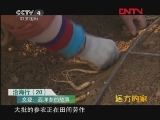 远方的家 《沿海行》第20集 山东文登《远方的家》20111226