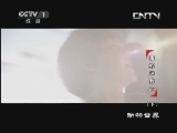 动物世界 《动物世界》 20130824 毒蛇迷我心（下）