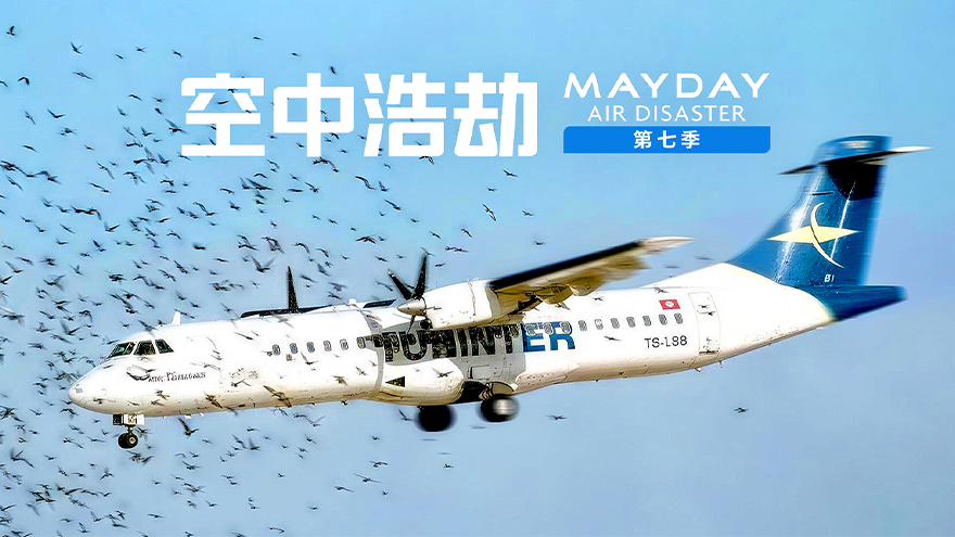 突尼斯航空1153号航班