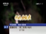 天网 《天网》 20170620 今天是个好日子