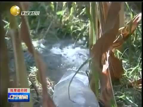 辽宁新闻 《辽宁新闻》 20140813