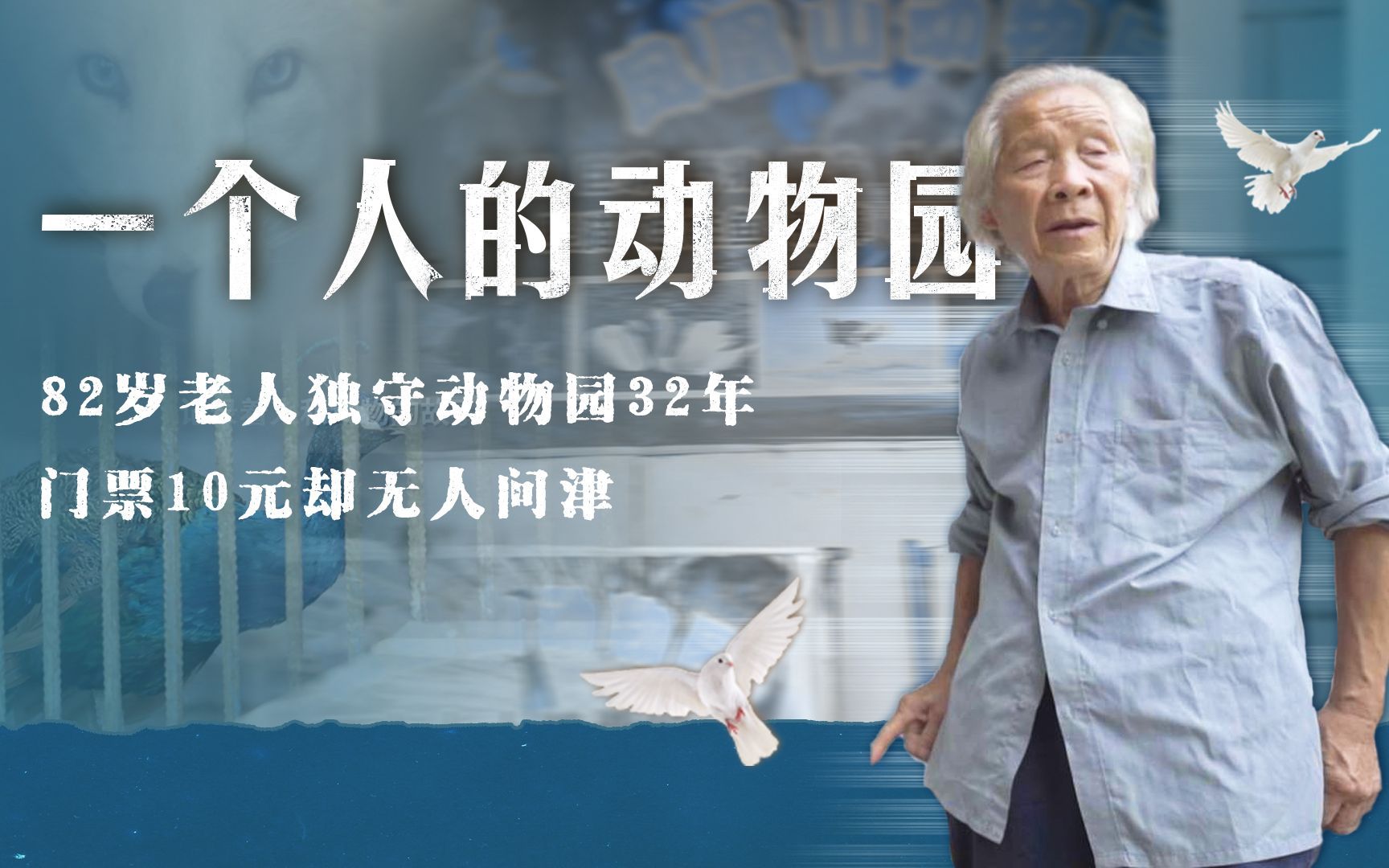 一个人的动物园