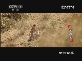 动物世界 《动物世界》 20130921 迷魂记 （下）