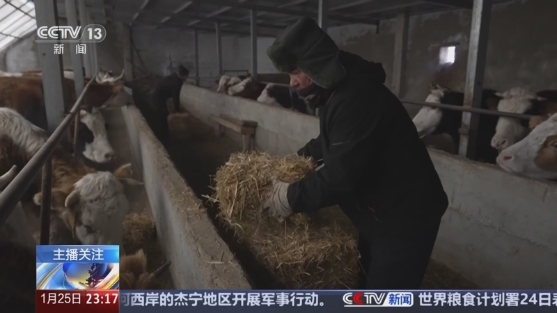 24小时 《24小时》 20250125