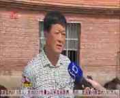 全省新闻联播 《全省新闻联播》 20140831