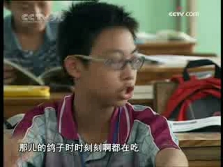 芝麻开门【央视】 小鸟一天吃几顿