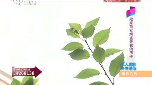 甲方乙方 败家前女婿盗走我的房子