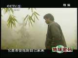 地球密码（周末精编节目） 周末精编节目 2010年 第158期 2-2