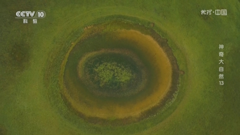 《地理·中国》 20251220 神奇大自然13