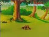 智力快车 《智力快车》 20120320