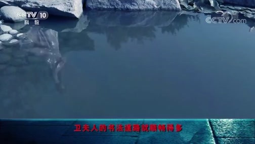 百家讲坛 《百家讲坛》 20190201 国宝迷踪（第二部） 12 《姨母帖》之谜