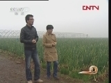 生财有道 《生财有道》 20120207 走出国门的章丘大葱