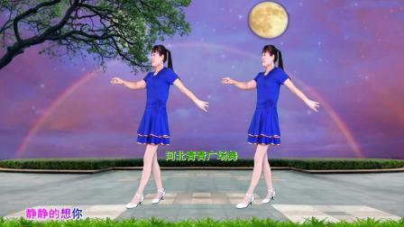 广场舞《对着月亮说声我爱你》新32步教学